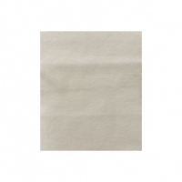 Микрофильтр для пылесосов универсальный синтетический выпускной, 250х200 мм, Ozone, MF-1NZ Микрофильтр для пылесосов универсальный синтетический выпускной, 250х200 мм, Ozone, MF-1NZ