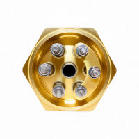 БЛОК ТЭН для котла 7,5кВт, L265мм, G1 1/2" 48мм, 69575 БЛОК ТЭН для котла 7,5кВт, L265мм, G1 1/2" 48мм, 69575